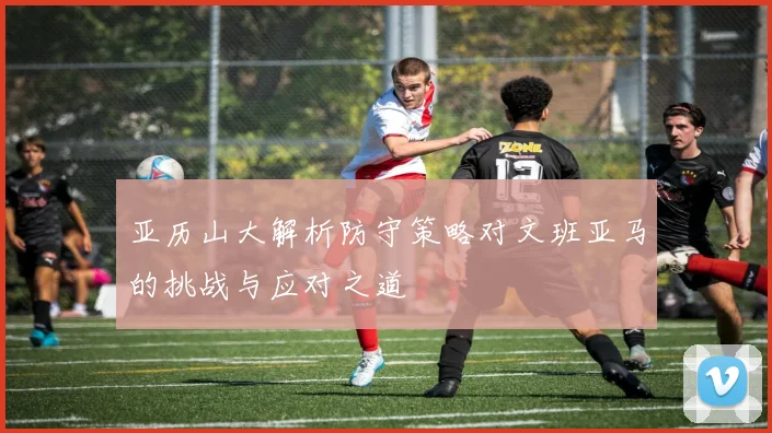 亚历山大解析防守策略对文班亚马的挑战与应对之道